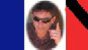 Je suis PARIS